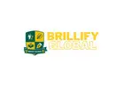 Brillify Global – Online DBA Programs for Professional Advancement