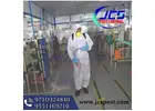 Chennai Pest Control | JCS Pest Control