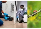 Professional Coalfalls Pest Control Service