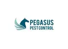 Pegasus Pest Control