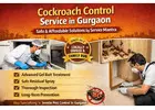 Reliable Cockroach Control Service in Gurgaon | Safe & Long-Lasting Solutions by Service Mantra