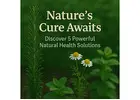 Heal Naturally: The 5 Best Health Solutions for 2025