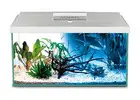 Oasis Aquariums: Top-Rated Aquarium Store in Sydney