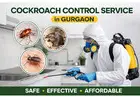 Expert Cockroach Control Service in Gurgaon | Safe Pest Removal by Service Mantra