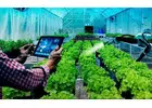 Inventory Management System for Commercial Plant Growers, Greenhouses & Nursery