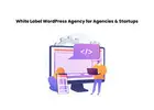 White Label WordPress Agency for Agencies & Startups