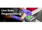 Livescan Fingerprinting Cost