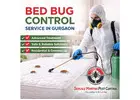 Trusted Bed Bug Control Service in Gurgaon for Complete Pest Protection