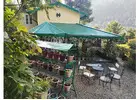 Best places to stay in nainital | Rosastays
