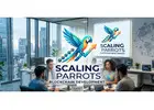 Blockchain Token Economy Services - Scaling Parrots