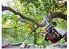 Tree Pruning Cherrybrook | Sydney Tree Felling