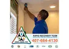 Mold Removal Davenport