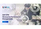 SAP EPM Solutions Company in India