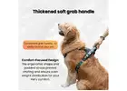 Comfortable Dog Body Harness by Waggety for Daily Walks