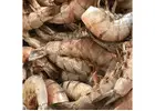 Fresh Shrimp For Sale Online