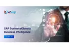 SAP BusinessObjects BI Services in India