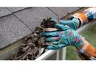 Rain Gutter Cleaning in Canberra for Year-Round Protection