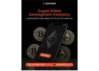 Custom Crypto Wallet Development Services for Fintech, Startups, and Enterprises Looking to Scale in