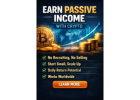 Simple Online System - No Selling or Recruiting Required