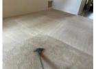 Tempe Carpet Cleaning – 100% Satisfaction Guaranteed