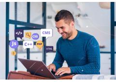 Experience Excellence with the Best Website Development Company in Noida