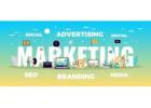 Digital Marketing Company In Delhi