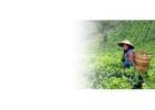 Easy Access to Personal Loans in Assam
