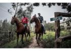 Adventure Awaits! SUV Adventure Holidays – Book Today