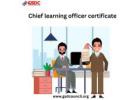 The Role of a Certified Chief Learning Officer in Driving Organizational Growth.