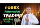 Take the Backseat and Let Forex Deliver