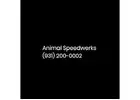 Animal Speedwerks