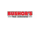 Bushor’s Tree Surgeons