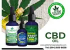 Discover Everyday Wellness with CBD Oil