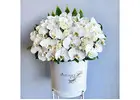 Buy White Roses Flower Bouquet Online for Every Special Occasion
