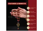 Shop Original Rudraksha Mala Beads - Rudraksha Price @ 499 – The Divine Tales