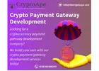 Accept Crypto Payments with Ease – Get a Custom Cryptocurrency Payment Gateway from CryptoApe