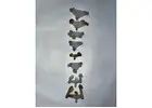 Curewith3D – Customised 3D Surgical Implants for Better Healing