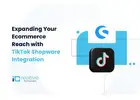 Expand eCommerce Reach with TikTok Shopware Integration
