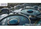 Revolutionizing Water Treatment with Mineral Oxychloride Technology