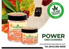 Feel Energized Every Day with Power CBD Gummies