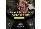 Palm Reading in Anaheim – Know Your Future with Accurate Hand Reading