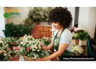 Discover Premium Blooms with Trusted New Jersey Flower Growers