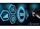 Expert SEO for Pest Control Companies in