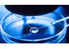 IVF (In Vitro Fertilization) Treatment in USA