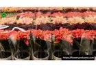 Explore Global Horticulture Trends with Floraculture International Magazine