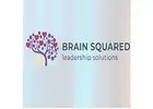Brain Squared Solutions Inc.
