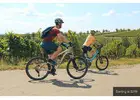 Bike Rental
