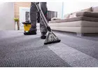 sofa and carpet cleaning services