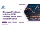 Discover Profitable Insights: NERL Unlisted Share Price with SN Capital