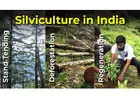 Learn Silviculture, Types, Importance and Scope